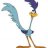 Roadrunner8
